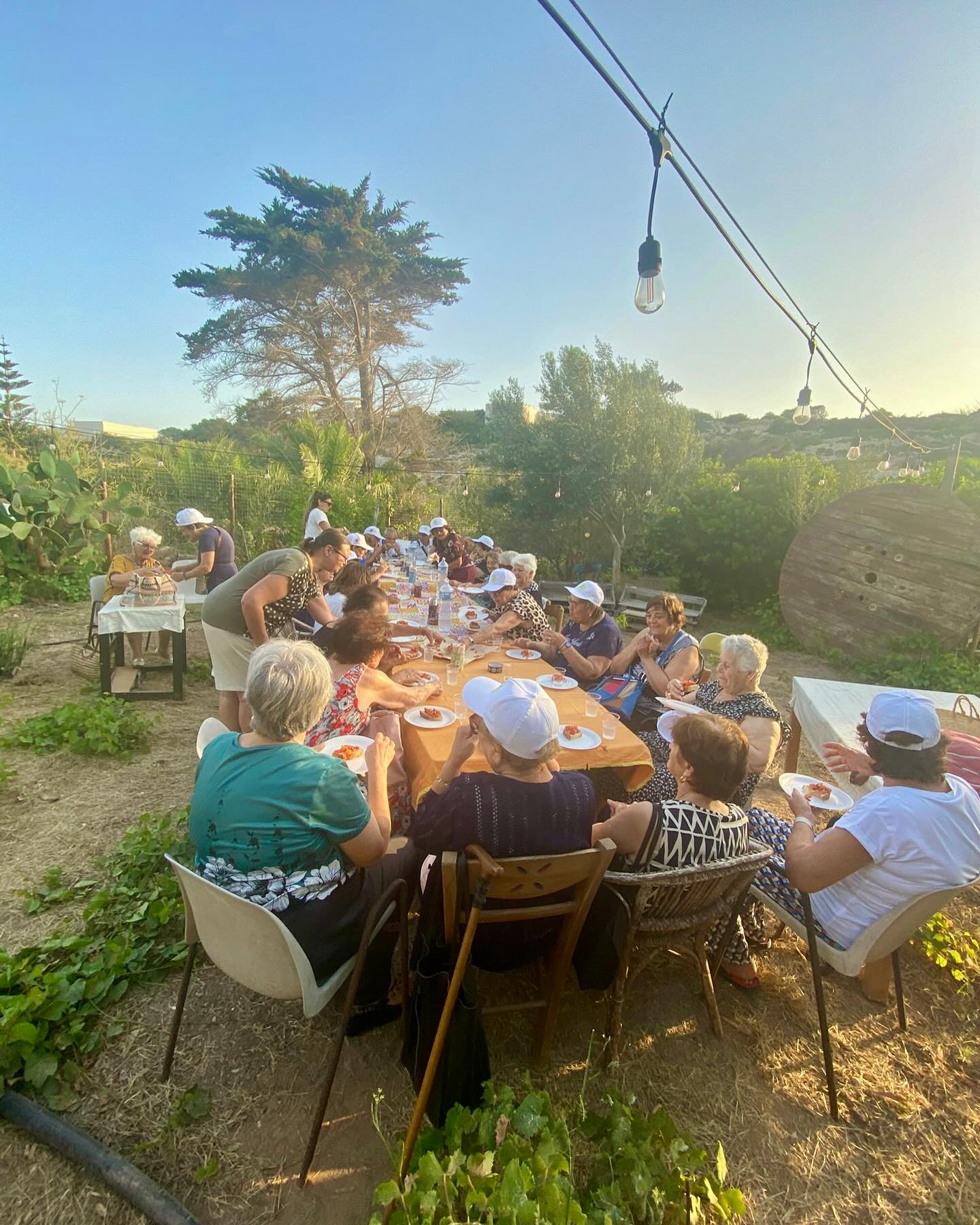 Esperienza Pranzo in Agricola – Visita, showcooking e pranzo nei campi