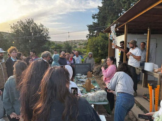 Esperienza Aperitivo in Agricola – Vini bio, storie e sapori sotto le stelle